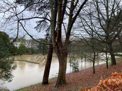 16th Jan 2023 Flooding Alexandra Park 2